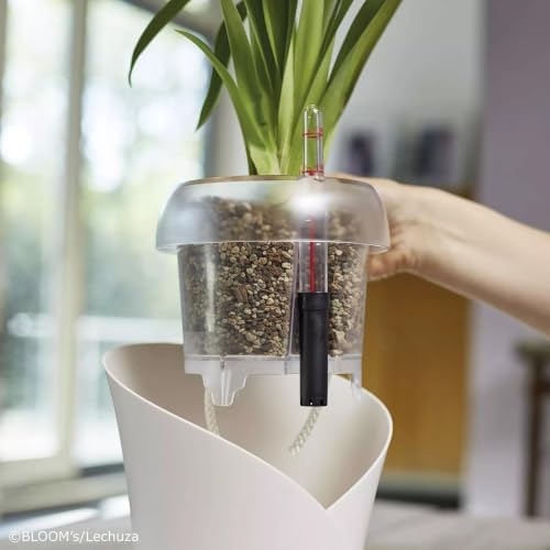 Lechuza 13961 ORCHIDEA Self-Watering Planter for Indoor and Outdoor Use, 7.2" x 7" x 7.7", Slate Matte - Image 6