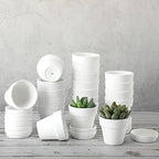 Lallisa 36 Pieces 3 Inch Mini Terracotta Pots with Saucers and Drainage Hole White Paintable Pottery Small Clay Pots for Crafts Mini Planters for Succulents Cactus Flowers Garden Crafts Wedding Decor - Image 5