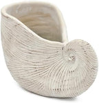 Nautilus Shell Planter, 11.5 Inch, Textured Beige Finish - Image 2