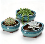 6" Ceramic Succulent Pots, Planters with Drainage Holes, 3 Pack by Unknown