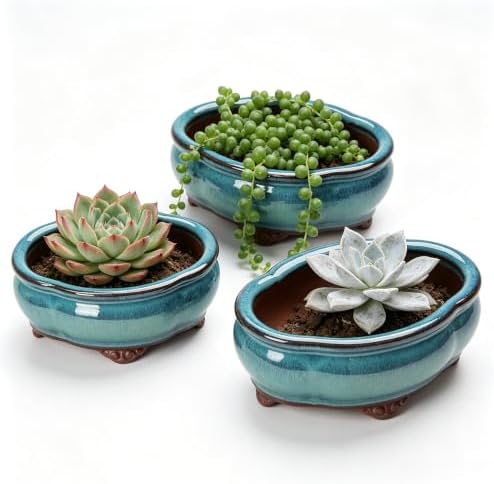 6" Ceramic Succulent Pots, Planters with Drainage Holes, 3 Pack by Unknown