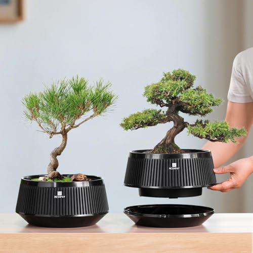 Bonsai Pots with Drainage Tray, Plastic Imitate Ceramic Bonsai Tree Pot with Excellent Airflow, Large Succulent Pots for Indoor Plants, Juniper, Ficus, Chinese Elm, Cactus, 8 Inch, Set of 2 - Image 2