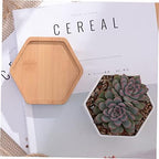 White Ceramic Hexagonal Succulent Pots Set of 2 with Bamboo Tray - Image 5