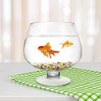 GANAZONO Clear Glass Goldfish Tank 17cm - Image 5