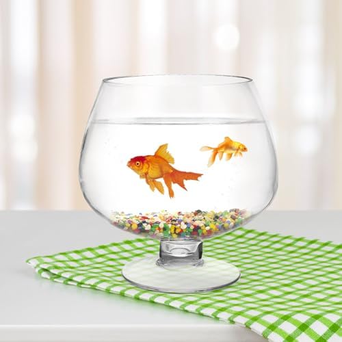 GANAZONO Clear Glass Goldfish Tank 17cm - Image 5