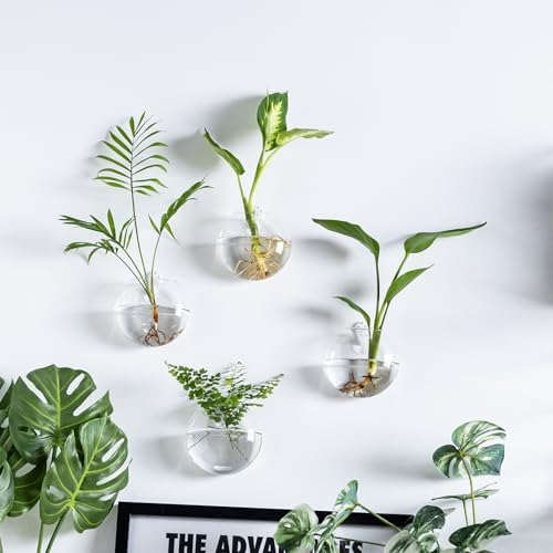 Wall Hanging Planter Propagation Station, Oblate Glass Flower Vase for Propagation, Wall Planter for Indoor Plants, Modern Home Office Corridor Bathroom Decor (6) - Image 3