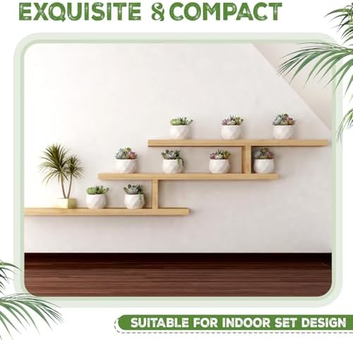 24 Pack 2.5 Inch Small Succulent Pots, White, Fashion - Image 5