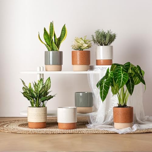 6 Inch Ceramic Self Watering Planter with Drainage Hole, Brush - Image 7