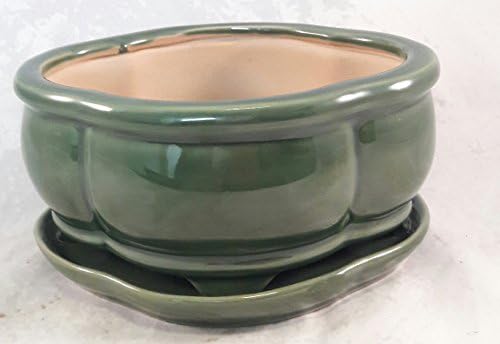 Bonsai Tree Pot creative design green 6 Inch Bonsai Pots with Trays- unique from Jmbamboo - Image 2