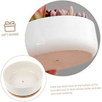 Gatuida Ceramic Succulent Planter Pot Garden Ceramic Plant Pots Bamboo Tray Small Bonsai - Image 3