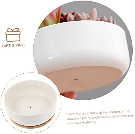 Gatuida Ceramic Succulent Planter Pot Garden Ceramic Plant Pots Bamboo Tray Small Bonsai - Image 3