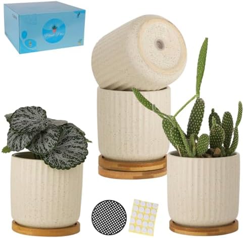 4 Inch Ceramic Plant Pots, Beige, Set of 4 by TAMAYKIM