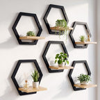 Novabright 6 Pcs Solid Wood Wall Plant Holder Shelf Indoor, Black - Image 5