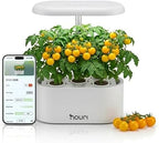 Nouri Hydroponics Growing System, 5 pod APP Smart Indoor Herb Garden Kit with LED Grow Lights, Hydroponic Herb Garden Indoor for Plant Lovers, Gardeners, Kitchen, Basil Seeds Included by Nouri
