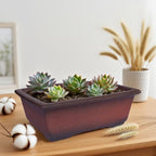 MUZHI Decorative Ceramic Bonsai Planter Pot 8.5 Inch with Tray, Breathable Unglazed Rectangle Terracotta Clay Pot for Tree Succulent Cactus Indoor Outdoor Red Brown (Classic Rectangle A 8.5“) - Image 5