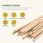 Cambaverd Bamboo Stakes 6 Feet, 50 Pack Garden Stakes for Tall Plants - Image 2