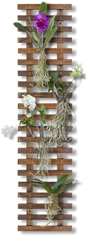 Mulctun Wall Planters - 11.4" W x 47.24" H Wooden Wall Planters for Indoor Outdoor Plants,Hanging Wood Wall Trellis,Wall Mounted Plant Holder for Orchids,Succulent,Air Plants,Hanging Pots Display by Unknown