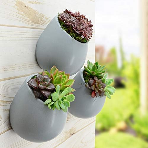 Arcadia Garden Products Small Round Wall Planter 3-Pack Light Gray - Image 2