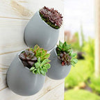 Arcadia Garden Products Small Round Wall Planter 3-Pack Light Gray - Image 2