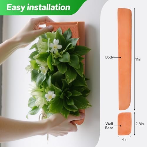 dadop Terracotta Self Watering Wall Pots for Indoor Plants, Hanging Planters for Indoor Plants Holder, Terra Cotta Pot Home Decor - Image 6