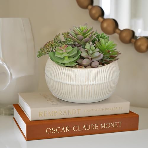 DILATATA Artificial Succulent Plants in Pot 5.5 Inch Fake Succulents Arrangement Potted Plant in White Ceramic Planter Bowl for Home Office Desk Shelf Living Room Bedroom Bathroom Decor - Image 6