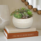 DILATATA Artificial Succulent Plants in Pot 5.5 Inch Fake Succulents Arrangement Potted Plant in White Ceramic Planter Bowl for Home Office Desk Shelf Living Room Bedroom Bathroom Decor - Image 6