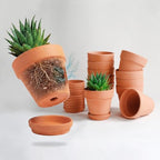 HERDUK Terracotta Starter Pots with Saucers – 4 Inch Clay Planting System for Healthy Roots, Reliable Drainage & Indoor Growing, Ideal for Succulents, Seedlings & Small Spaces by Herduk