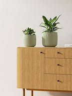 LE TAUCI Ceramic Pots for Plants, 8.3/7/6 Inch Indoor Planters with Drainage Holes & Mesh, Modern Glossy Glaze Cylinder Fluted Plant Pot for Snake Plant, Set of 3, Sage Green - Image 5