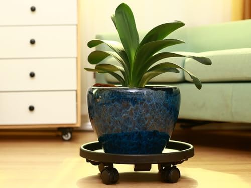 5 Packs Large Plant Caddy with Wheels 13" Rolling Wheeled Plant Stands Heavy-Duty Plastic Flower Pot Roller Base Movers Indoor Outdoor Planter Dolly with Casters Trolley, Black - Image 6