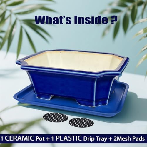 MUZHI 2pcs Green Ceramic Bonsai Planter Pots with Bamboo Tray 6.2 “ & 5.3”, Rectangular Glazed Bonsai & Succulent Cactus Starter Pot with Drainage Ice Crack Design (Crackle Glazed 10") - Image 4