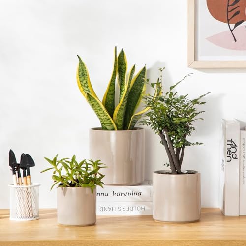 vancasso Ceramic Plant Pots, 4.25+5.25+6.25 Inch Planter Pot with Drainage Hole, Flower Pots for Indoor Outdoor Plants, Set of 3, Grey - Image 5