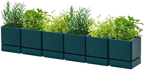 D'vine Dev 6-Pack Plastic Herb Planter Pots, 4 in, Green, 76-Y-C-1 by DvineDevPlanterPotsandStand