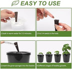 Kratky Method Hydroponic Planter Kit, 8 Hydroponic Planter Plus 24 Growing Sponges for Herbs, Hydroponic Mini Buckets for Windowsill Herb Garden, Hydroponic Growing System for Vegetables (Black) - Image 3