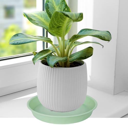 4 Pack of 14 inch Plant Saucers Bird Bath Bow Round, Plastic Plant Saucer Tray for Pots, White Planters for Indoor Plants, Plant Trays for Planter 12-15" (14", Light Green) - Image 4