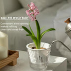 4.6 Inch Self Watering Plant Pots for Indoor Plants 16 Packs African Violet Pot, Self Watering Planters for Herb, Orchid, Devil's Ivy, Flower Houseplant Planters, Clear Plant Pots, White - Image 4
