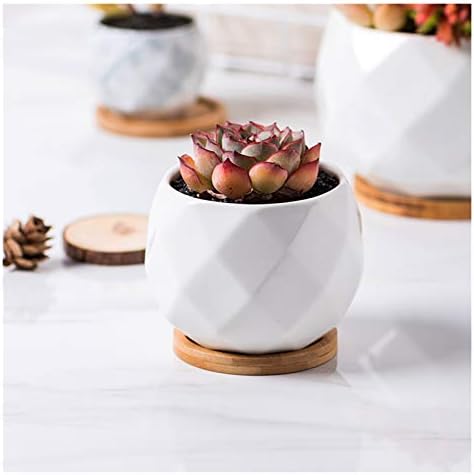 Flower Pot Ceramic Flower Planter Pots with Drain Hole Marble Pattern Modern Succulents Containers for Home Decor Indoor Flower Plant Pots Gardening Containers，Bianco-C - Image 5