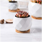 Flower Pot Ceramic Flower Planter Pots with Drain Hole Marble Pattern Modern Succulents Containers for Home Decor Indoor Flower Plant Pots Gardening Containers，Roze-C - Image 5