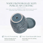 Elegant Orchid Pot with Holes, Large 6.5 inch Premium Porcelain Ceramic Orchid Pot for Repotting, Durable Ceramic Planter with Removable Saucer for Easy Drain, Planter Gifts for Moms - Image 5