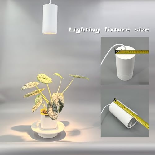 Hanging Plant Grow Light Full Spectrum Warm White Color with Timer Ceiling Decorative Grow Lamp for Indoor Plants - Image 3