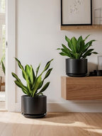 LE TAUCI 8 Inch Plant Pot, Ceramic Pots for Plants, Black - Image 6