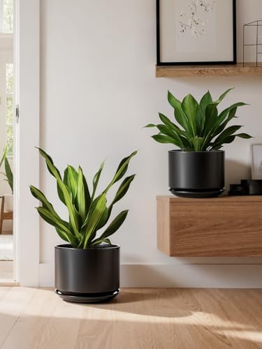 LE TAUCI Ceramic Plant Pots, Set of 2, 8+10 Inch, Black - Image 6