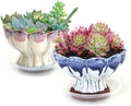 5.5 Inch Succulent Pot with Drainage and Saucer Glazed Terracotta Round Ceramic Succulent Planter Cactus Plant Pot Set of 2 Red Blue by SUMMERIMPRESSIONS