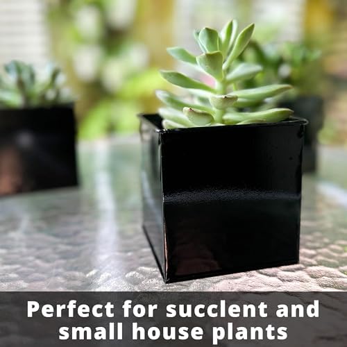 LaLaGreen Indoor Wall Planter (4 in, 6 Pack) Black Square Metal Wall Decor - Image 4