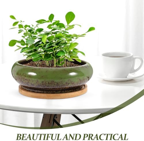 Happyyami 2 Sets Ceramic Succulent Plant Pot with Saucer Xmas Decorative - Image 3