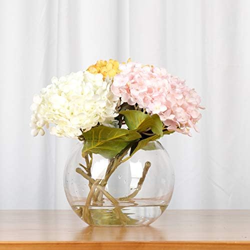 WGV Bowl Glass Vase, Diameter 10", Height 8", Open Width 6", (Multiple Sizes Choices) Clear Bubble Planter Terrarium Fish Bowl for Wedding Event Home Decor, 1 Piece (VBW0010) - Image 6
