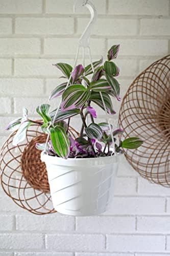 The HC Companies Euro Round Hanging Planter, 12 Inch, Green, 2-Pack - Image 5