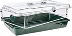 EarlyGrow 93774 Domed Propagator, 1 Height Extender, Green - Image 3