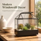Large Tall Plant Terrarium Glass – Glass Greenhouse Terrarium with Lid and Tray,Indoor Tabletop Orchid Succulent Cacti Terrarium Kit 9.5”X9.8”X5.6” - Image 2