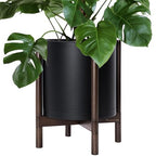D'vine Dev Plastic Pot with Walnut Wood Stand, Black, 14 in, 55-C-R-2 by DvineDevPlanterPotsandStand
