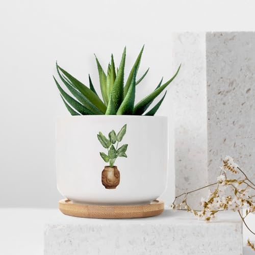 DreamAutumn Pack of 3 Planters Ceramic Plants Ceramic Pots with Drainage Holes Round Flowerpot Bamboo Tray Plant Pots for Succuelnt and Little Snake Plants - Image 7